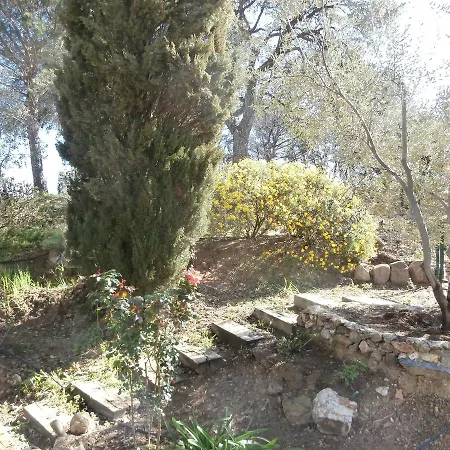 La Maison des Oliviers-3